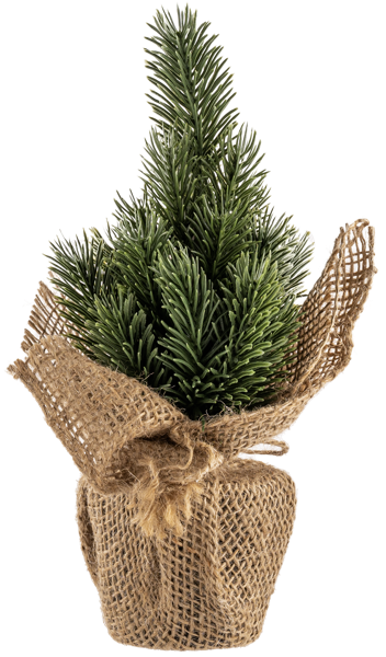 Изображение Елочка 25см настольная Табрис создавай атмосферу пушистая в горшке Кристмас Квин , 1 шт