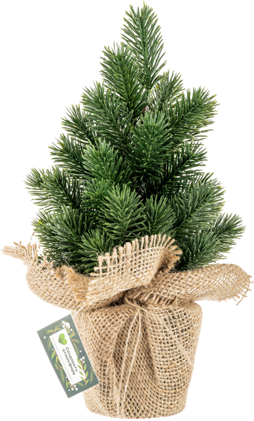 Изображение Елочка 31см настольная Табрис создавай атмосферу пушистая в горшке Кристмас Квин , 1 шт