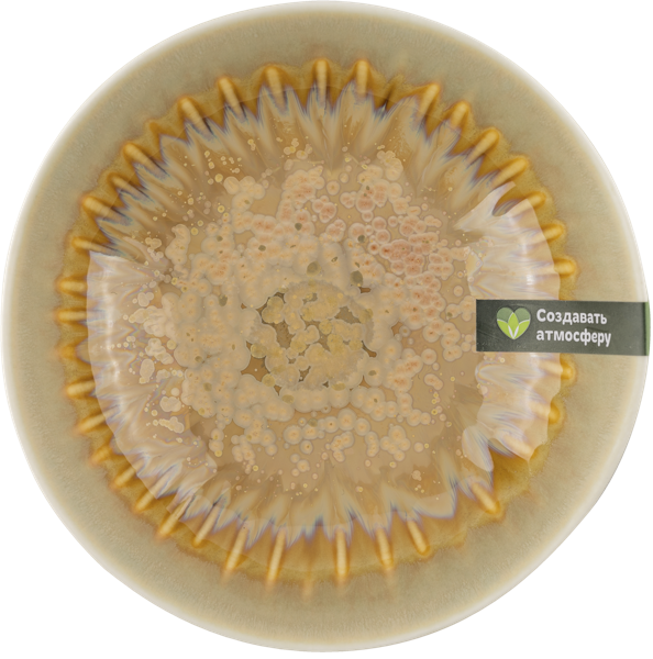 Изображение Миска 12см коричневая Табрис магическое волшебство Ловинг Хоум , 1 шт