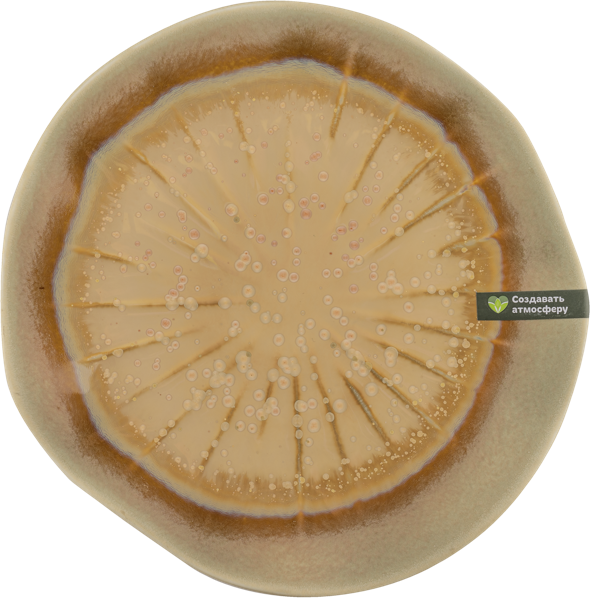 Изображение Тарелка 21см коричневая Табрис магическое волшебство Ловинг Хоум , 1 шт