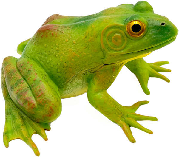 Изображение Фигурка 14,5 см Детское время лягушка-бык Морефан Текнолоджи , 1 шт