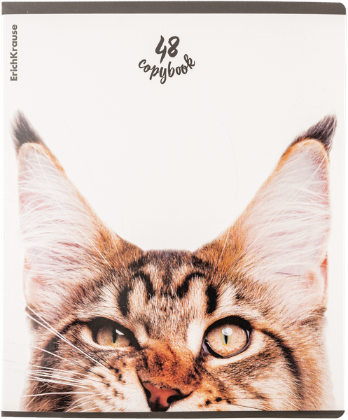 Изображение Тетрадь 48л клетка Эрих Краузе котики Эрих Краузе , 1 шт
