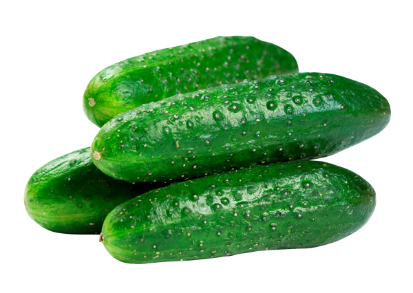 Изображение Овощ короткоплодный местный огурец бьерн  подложка, 650 г