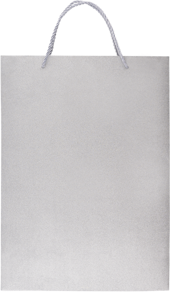 Изображение Пакет 30*42см подарочный Табрис серебристый Джинхуа Синкань , 1 шт