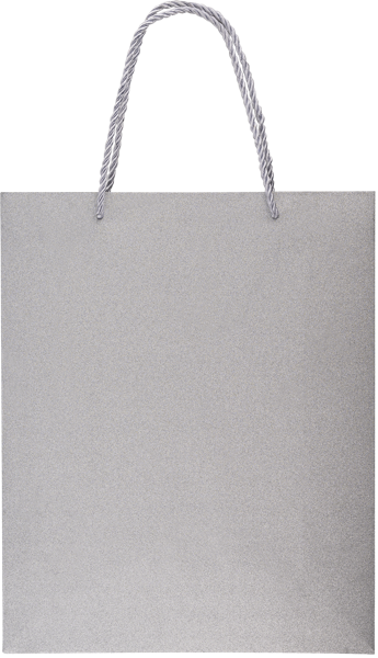 Изображение Пакет 26*32см подарочный Табрис серебристый Джинхуа Синкань , 1 шт