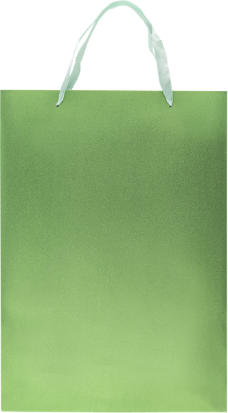 Изображение Пакет 30*42см подарочный Табрис цветы зеленый Джинхуа Синкань , 1 шт