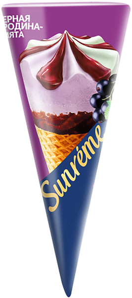 Изображение Морожное молочное Санрем черная смородина Фронери Рус м/у, 78 г