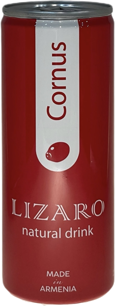 Изображение Напиток сокосодержащий негаз Лизаро кизил Лизаро ж/б, 0,25 л