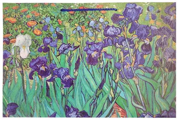 Изображение Пакет 60*40*20см ламинированный Лакарт в ассортименте Лакарт , 1 шт