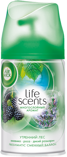 Изображение Освежитель воздуха запаска Эрвик фрешматик утренний лес Бенкизер ж/б, 250 мл