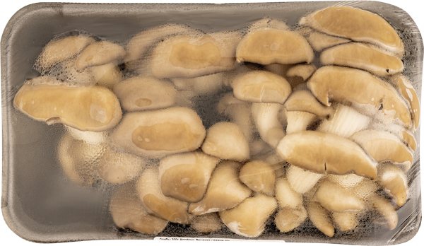 Изображение Грибы свежие Артфрут вешенка  п/у, 300 г