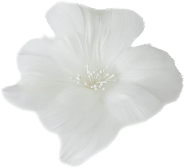 Изображение Цветок 10*13см белый Мэджик Тайм из гусиного пера Феникс-Презент м/у, 1 шт