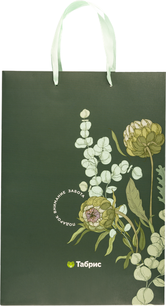 Изображение Пакет 24*34см бумажный Табрис артишок изумрудный ТАБРИС , 1 шт
