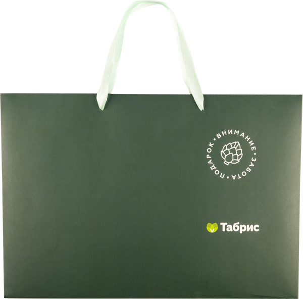 Изображение Пакет 39*27см бумажный Табрис артишок изумрудный ТАБРИС , 1 шт