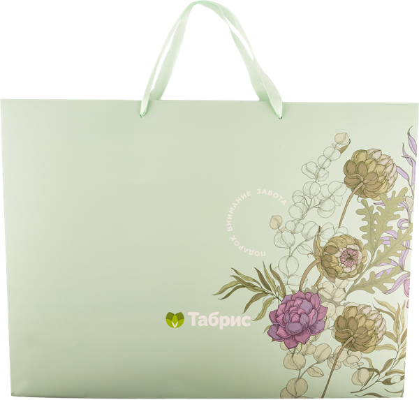 Изображение Пакет 50*37см бумажный Табрис артишок бирюзовый ТАБРИС , 1 шт
