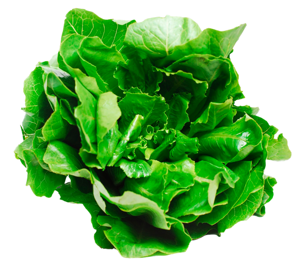 Изображение Салат свежий Белая дача романо кочан Белая дача м/у, 350 г