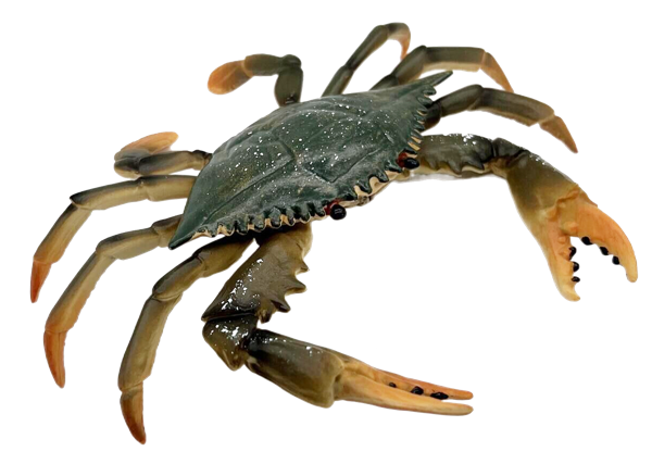 Изображение Фигурка 16,7 см Детское время краб Морефан Текнолоджи , 1 шт