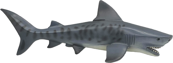 Изображение Фигурка 18,9см Детское время тигровая акула Морефан Текнолоджи , 1 шт