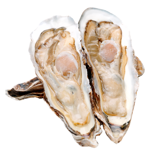 Изображение Морепродукты живые 100-150г устрицы императорские Фетисов А.А. шт, 1 шт