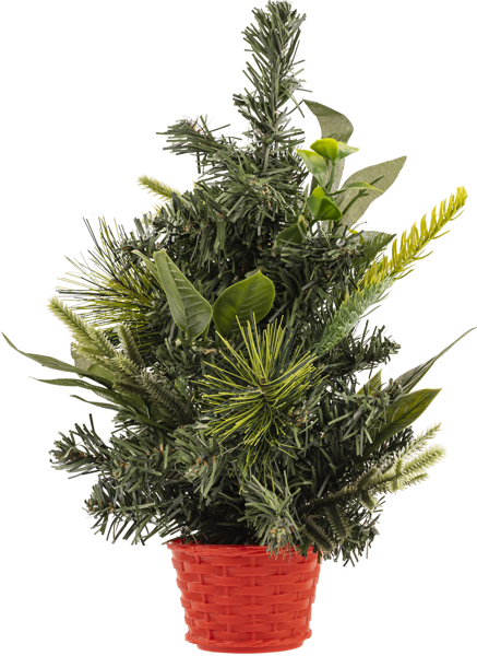 Изображение Елка настольная Гринтайм зеленая в горшке Нинбо ГринТайм , 1 шт