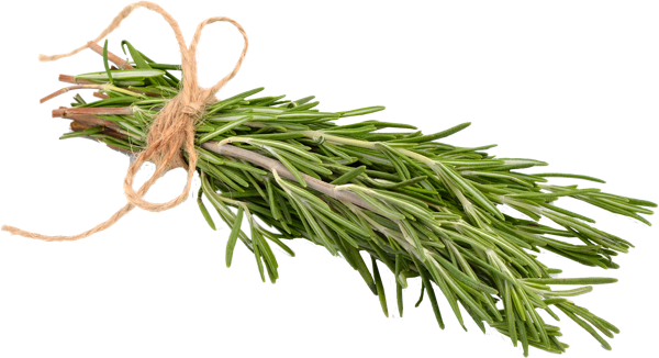 Изображение Зелень свежая розмарин Кубанские поля пучок, 40 г