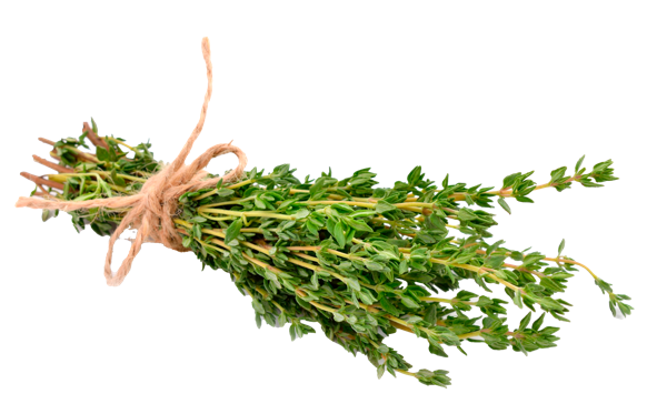 Изображение Зелень свежая тимьян Кубанские поля пучок, 40 г