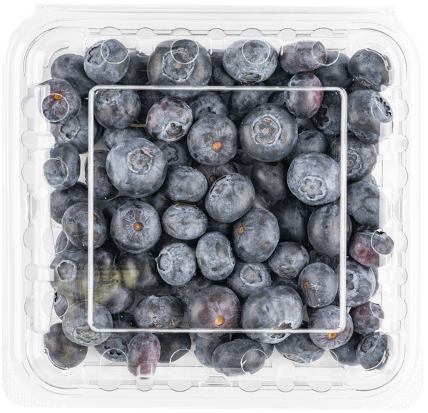 Изображение Ягода  голубика  лоток, 125 г