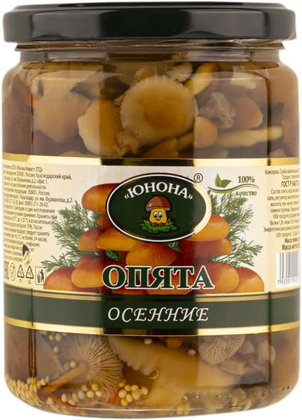 Изображение Опята маринованные Юнона осенние Юнона Инвест с/б, 500 г