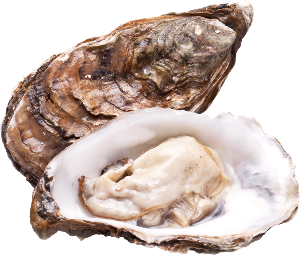 Изображение Морепродукты живые 150-200г устрицы хасанские Фетисов А.А. шт, 1 шт