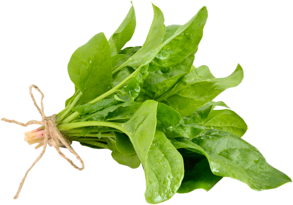 Изображение Зелень свежая шпинат Вита пучок, 1 шт