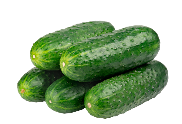 Изображение Овощ короткоплодный огурец тепличный Ситифрукт подложка, 700 г