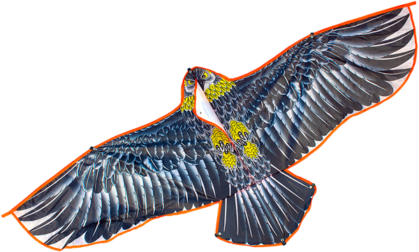 Изображение Воздушный змей Шанту йошинг орел Шанту Йошинг Трейдинг к/у, 1 шт