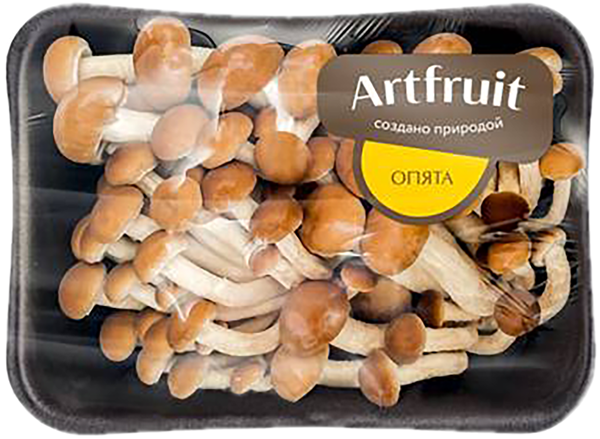 Изображение Грибы свежие Артфрут опята  п/у, 200 г