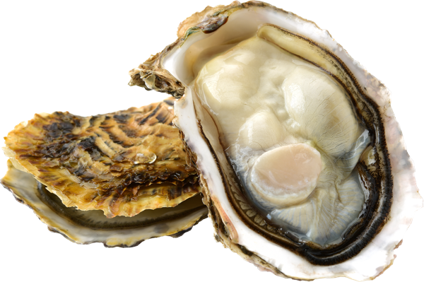 Изображение Морепродукты живые 60-100г устрицы хасанские Фетисов А.А. шт, 1 шт