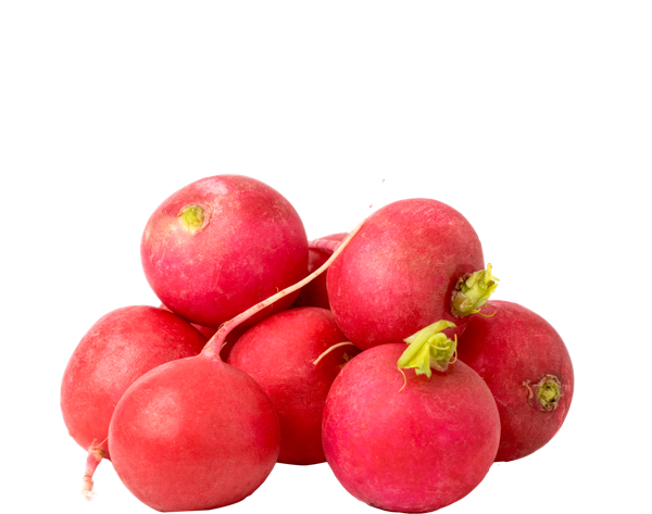 Изображение Корнеплод местный Кубанский фермер редис Игнина Д.Р. лоток, 300 г