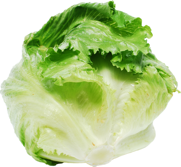 Изображение Салат свежий Белая дача айсберг кочан Белая дача м/у, 1 шт