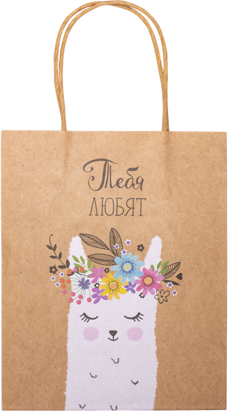 Изображение Пакет 18*23см бумажный Крафт микс-5  м/у, 1 шт