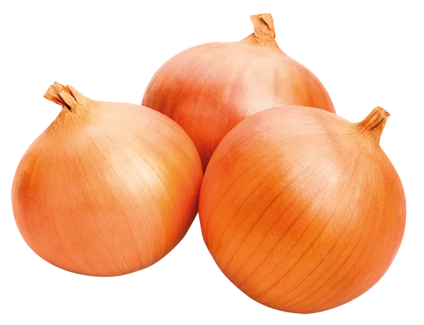 Изображение Корнеплод Краснодарский край лук репчатый Игнина Д.Р. вес 