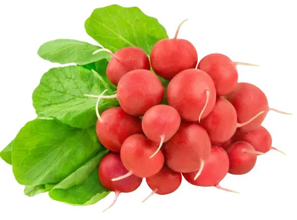 Изображение Корнеплод местный редис  пучок, 1 шт