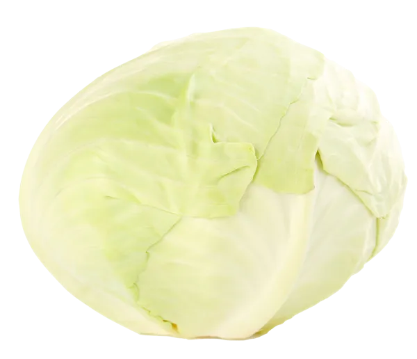 Изображение Овощ Краснодарский край капуста белокочанная  вес 