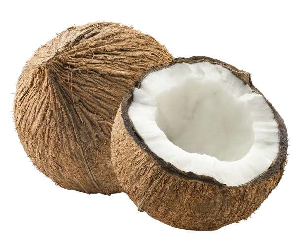 Изображение Плод  кокос  шт, 1 шт