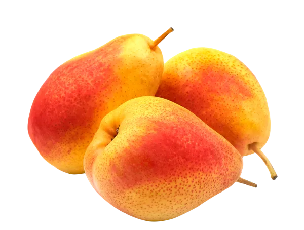 Изображение Фрукт Груша сорт Ред Бартлет  вес 