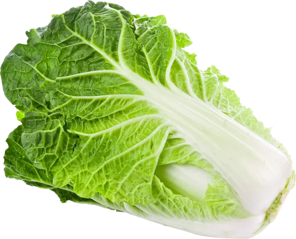 Изображение Овощ  капуста пекинская  вес 