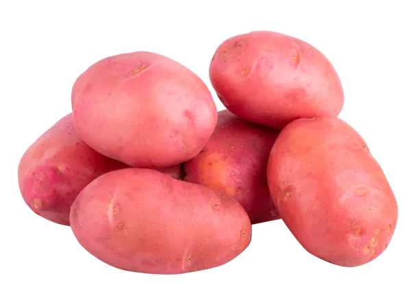 Изображение Корнеплод местный картофель красный Игнина Д.Р. вес 