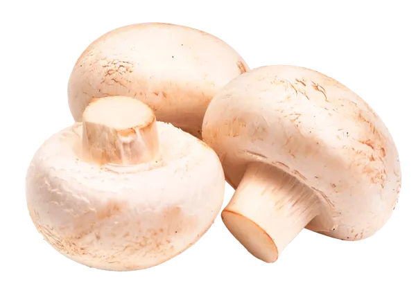 Изображение Грибы свежие 50-70мм Русский гриб шампиньоны Русский гриб вес 