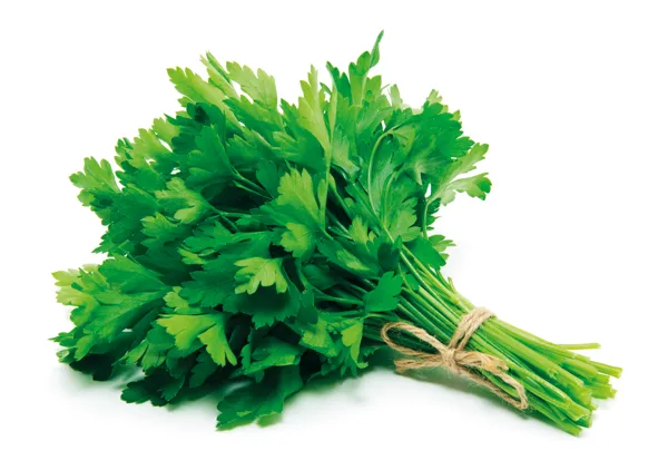 Изображение Зелень свежая петрушка Вита пучок, 1 шт