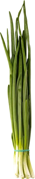 Изображение Зелень свежая лук Вита пучок, 1 шт