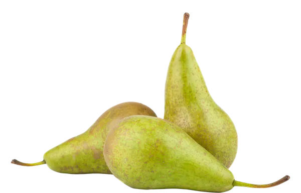 Изображение Фрукт  груша конференция  вес 