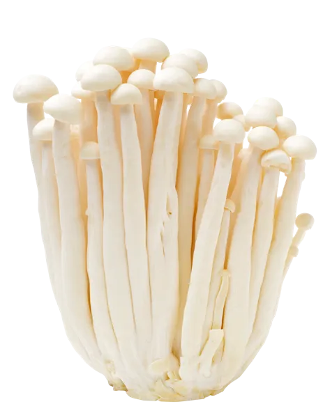 Изображение Грибы свежие Артфрут еноки  п/у, 100 г