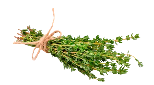 Изображение Зелень свежая тимьян Кубанские поля п/у, 40 г